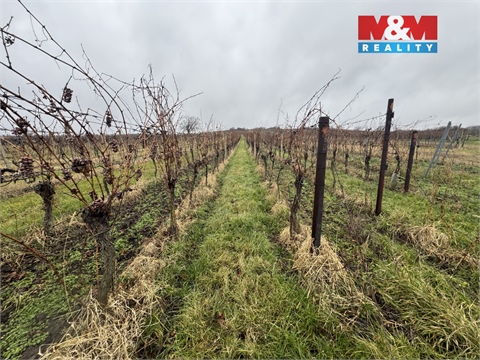 Prodej zemědělské půdy, 6 580 m² 2