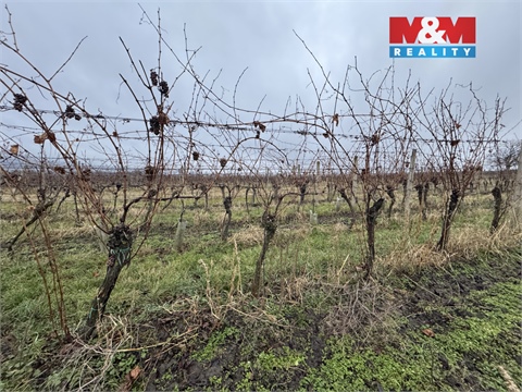 Prodej zemědělské půdy, 6 580 m² 4