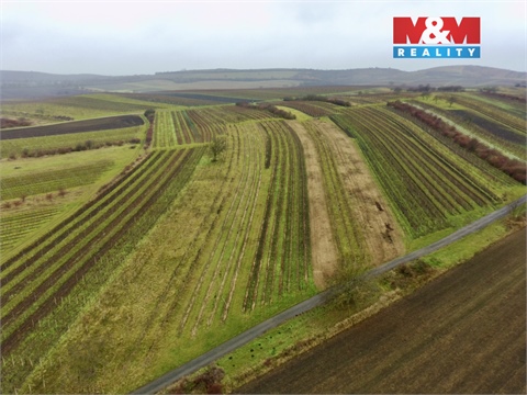 Prodej zemědělské půdy, 6 580 m² 6