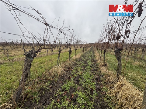 Prodej zemědělské půdy, 6 580 m² - 2