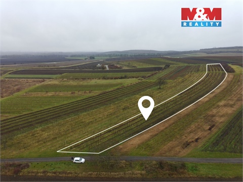 Prodej zemědělské půdy, 6 580 m² - 0