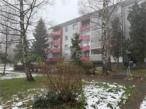 Pronájem bytu 1+1, 38 m² 0