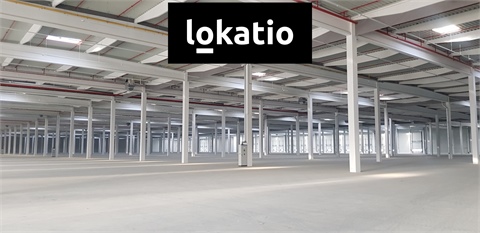 Pronájem skladu / haly, 13 400 m² 2