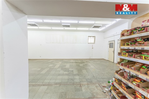 Pronájem obchodních prostor, 194 m² - 4