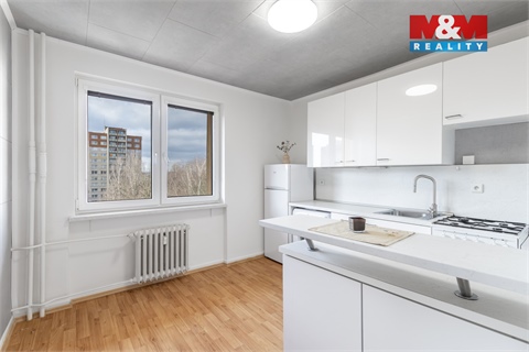 Prodej bytu 1+1, 39 m² 4