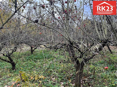 Prodej stavebního pozemku, 994 m² 2