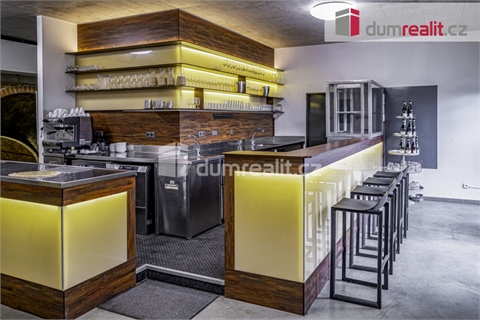 Prodej obchodních prostor, 264 m² 4