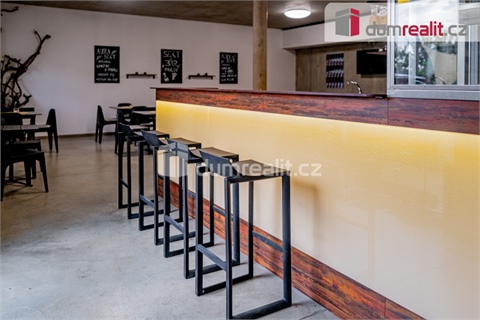 Prodej obchodních prostor, 264 m² 8