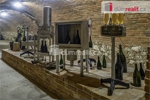 Prodej obchodních prostor, 264 m² 12