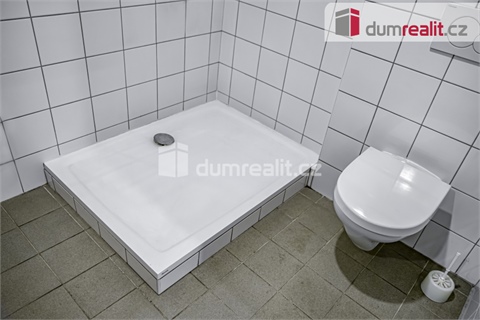 Prodej obchodních prostor, 264 m² - 14