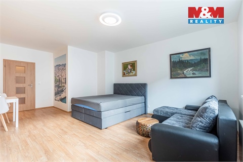 Pronájem bytu 1kk, 45 m² - 4