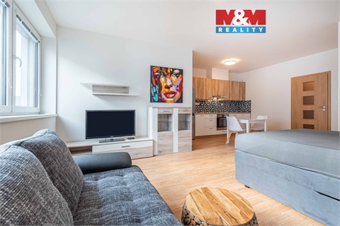 Pronájem bytu 1kk, 45 m² 0