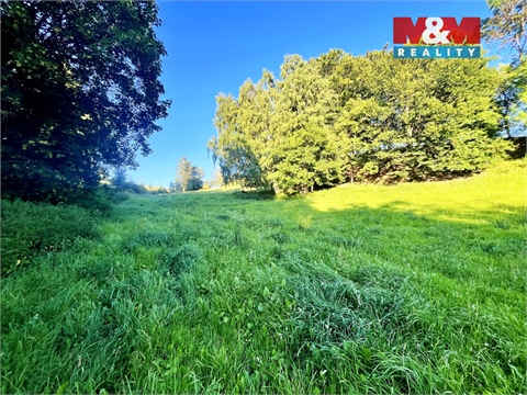 Prodej louky, 5 449 m² - 6