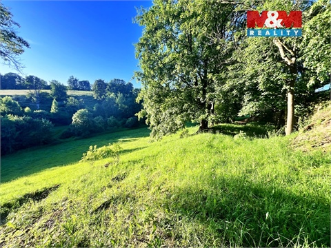 Prodej louky, 5 449 m² - 12