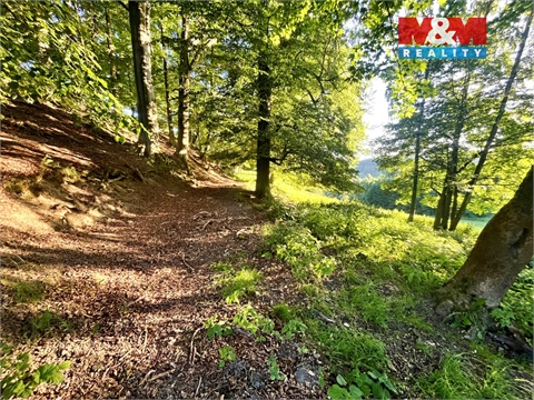 Prodej louky, 5 449 m² - 8