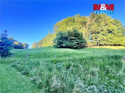 Prodej louky, 5 449 m² - 0