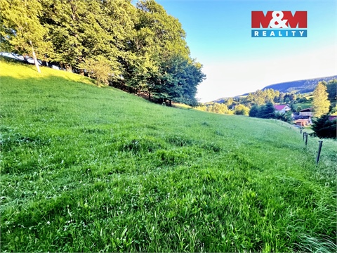 Prodej louky, 5 449 m² - 2