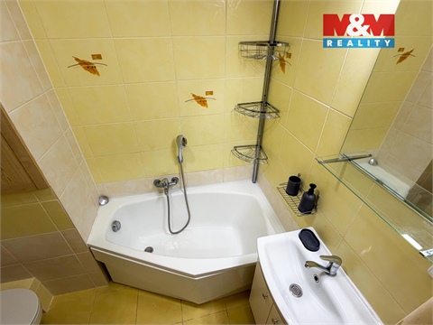 Prodej bytu 3+1, 60 m² 10