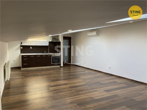 Pronájem bytu 1kk, 47 m² - 4