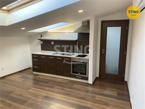 Pronájem bytu 1kk, 47 m² 0