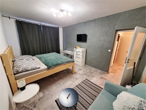 Pronájem bytu 1+1, 38 m² - 0