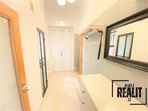 Pronájem bytu 1+1, 49 m² 10