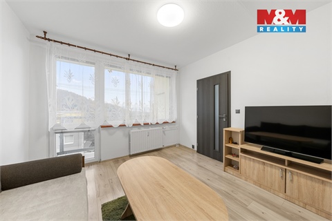 Prodej bytu 3+1, 66 m² 4