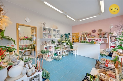 Prodej komerčního objektu, 609 m² - 4