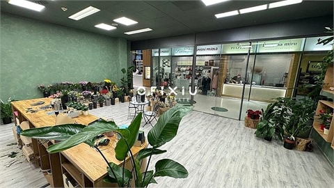 Pronájem obchodních prostor, 65 m² 8