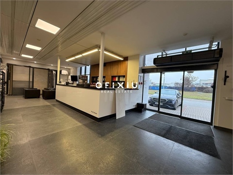 Pronájem obchodních prostor, 367 m² 2