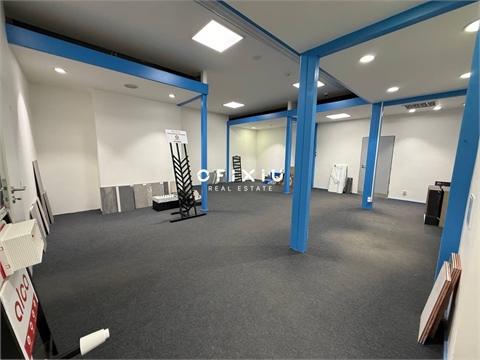 Pronájem obchodních prostor, 367 m² - 4