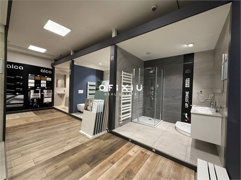 Pronájem obchodních prostor, 367 m² - 2