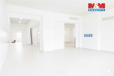 Pronájem skladu / haly, 249 m² 6