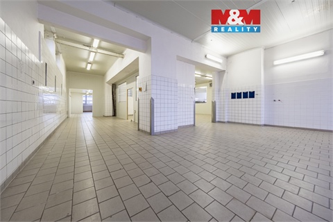 Pronájem skladu / haly, 249 m² - 0