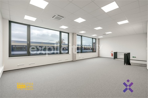 Pronájem obchodních prostor, 444 m² - 6