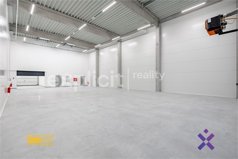 Pronájem obchodních prostor, 444 m² - 20