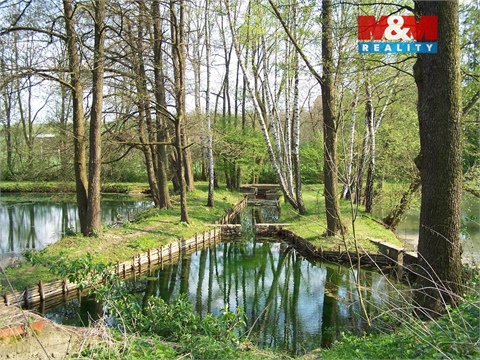 Prodej chaty / chapuly, 38 m² - 20