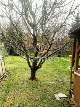 Prodej objektu, 36 m² - 12