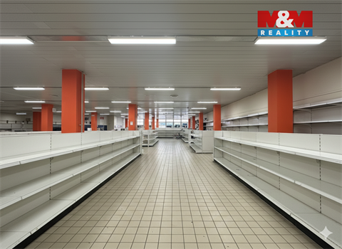 Pronájem obchodních prostor, 2 000 m² - 2