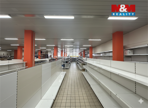 Pronájem obchodních prostor, 2 000 m² - 4
