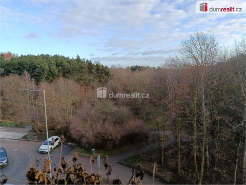 Pronájem bytu 3+1, 70 m² - 16