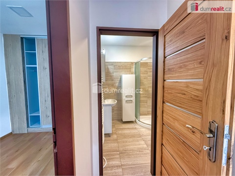 Pronájem bytu 2+1, 52 m² 6