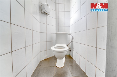 Pronájem obchodních prostor, 185 m² - 8