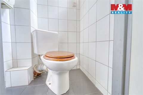 Pronájem obchodních prostor, 185 m² - 12