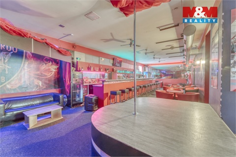 Pronájem obchodních prostor, 185 m² 8