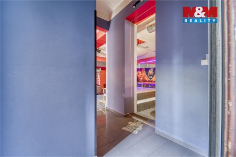 Pronájem obchodních prostor, 185 m² - 10