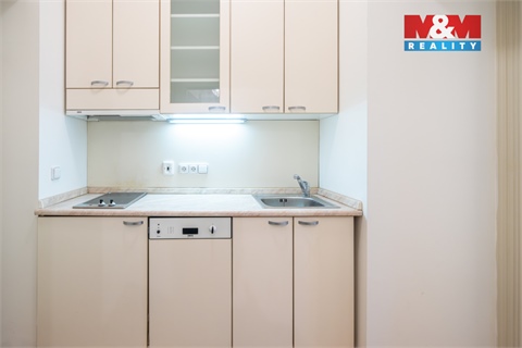 Pronájem bytu 1kk, 31 m² - 14