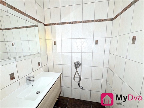 Pronájem rodinného domu, 280 m² - 12