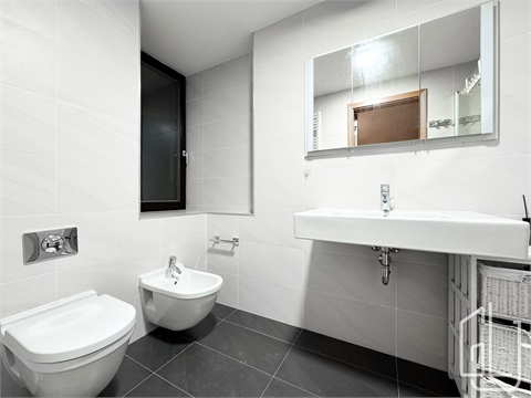 Pronájem bytu 3kk, 136 m² 16