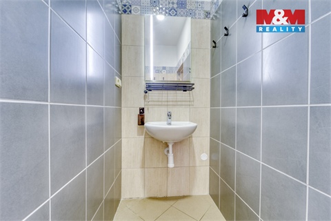 Prodej obchodních prostor, 216 m² 22